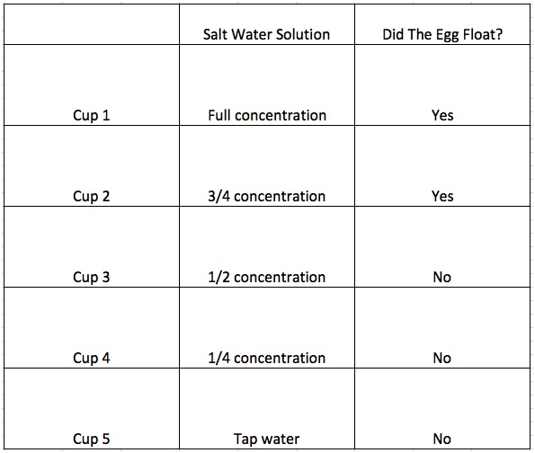 Can An Egg Float On Salt Water 